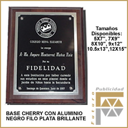 Placas grabada punta diamante