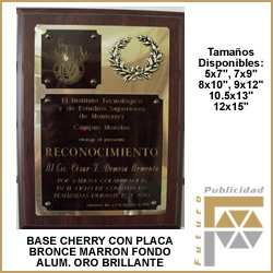 Placa grabada punta diamante