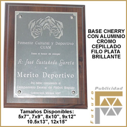 Placa grabada punta diamante