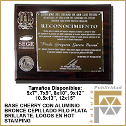 Placa grabada punta diamante