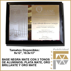 Placa grabada punta diamante