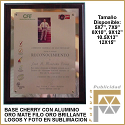 Placa grabada punta diamante