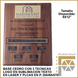 Placa grabada punta diamante