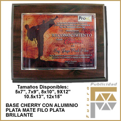 Placa Sublimacion