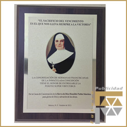 Placa Sublimacion