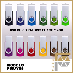 USB CLIP GIRATORIO DE 2GB